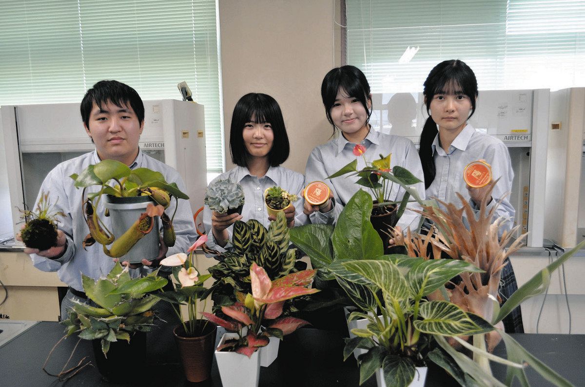「恵那農高マルシェ」をアピールする園芸科学科3年生の生徒たち＝恵那市大井町の同校で
