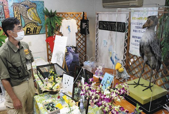 ハシビロコウが剥製になって展示 伊豆シャボテン公園：中日新聞しずおかWeb