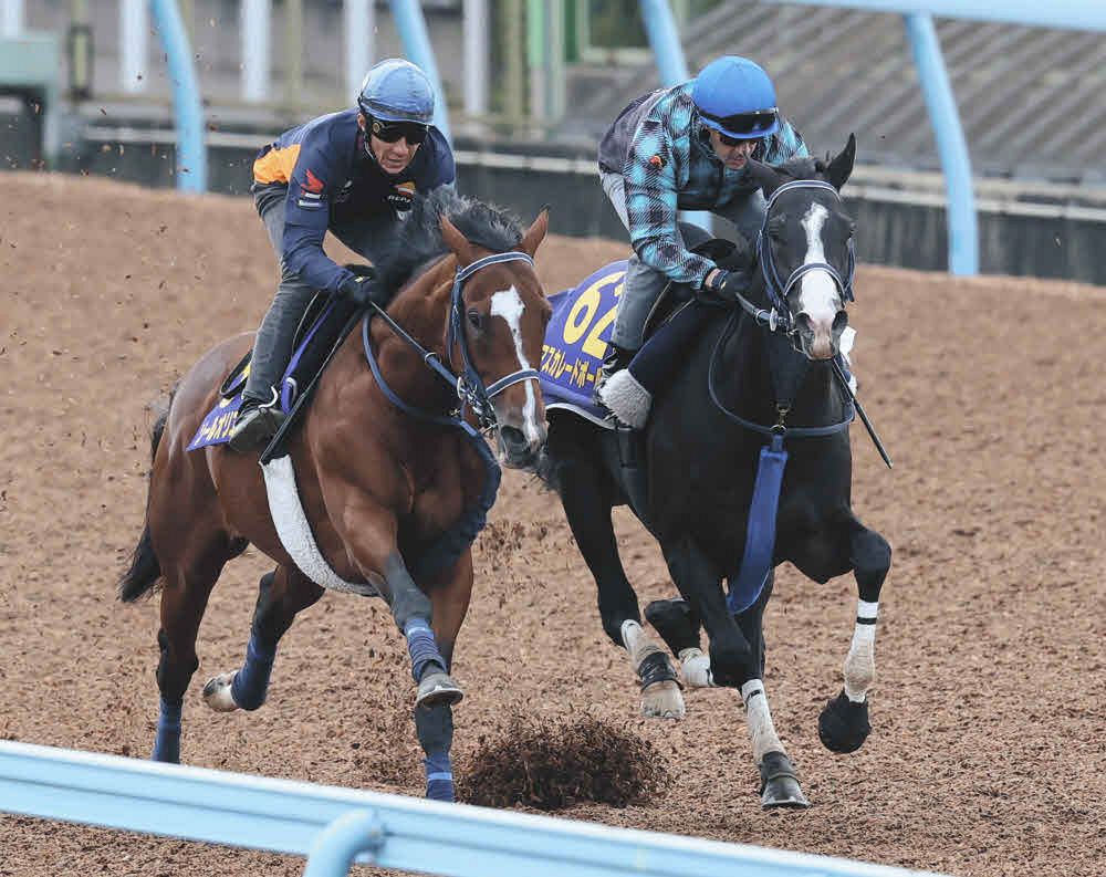 天皇賞・秋1週前追い切り】ダービー2着のマスカレードボールはルメール