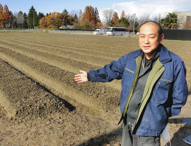 チューリップ栽培を始めた畑を指し示す埜村武弘さん＝砺波市高道で 