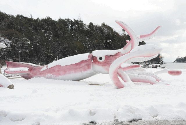 石川】冷凍？「イカキング」 能登町 雪化粧でツイート 話題に：北陸中日新聞Web