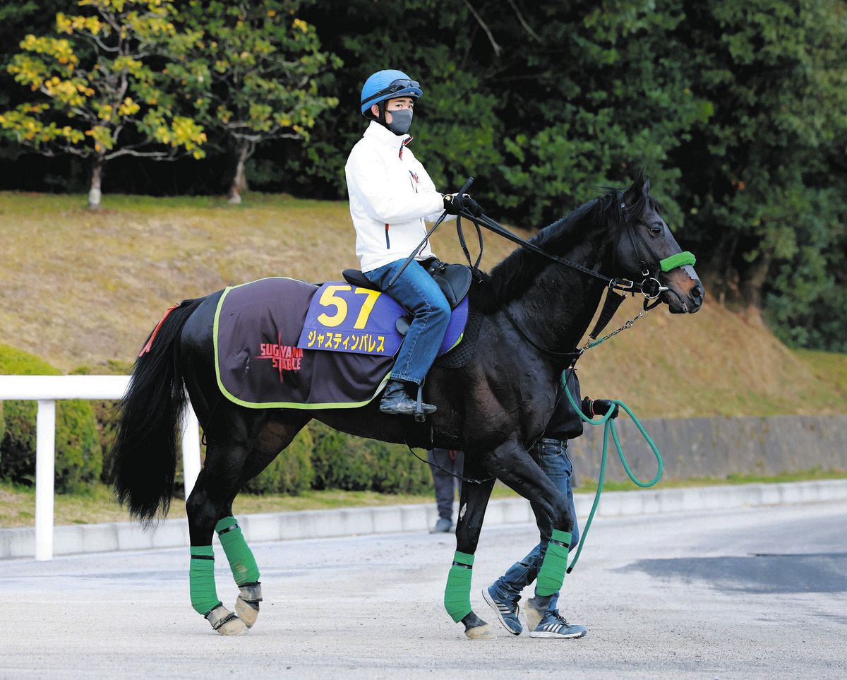 23年天皇賞・春Vジャスティンパレス年内で引退 北海道・アロースタッド 