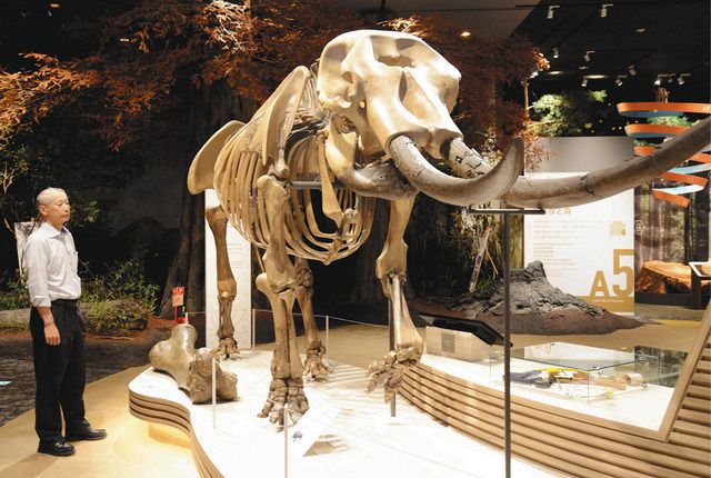 ふるさとのたからもの＞ （28）アケボノゾウの里（多賀町四手）：中