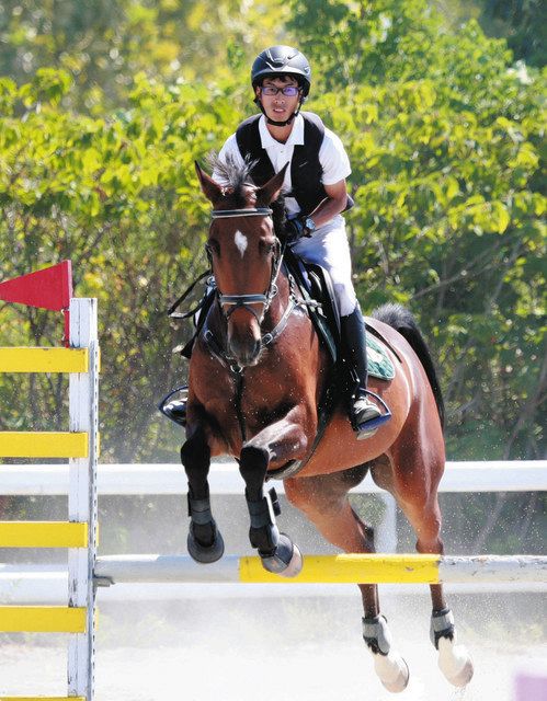 頂点へ 相棒と駆ける 北陸馬術大会 障害飛越始まる 金沢：北陸中日新聞Web