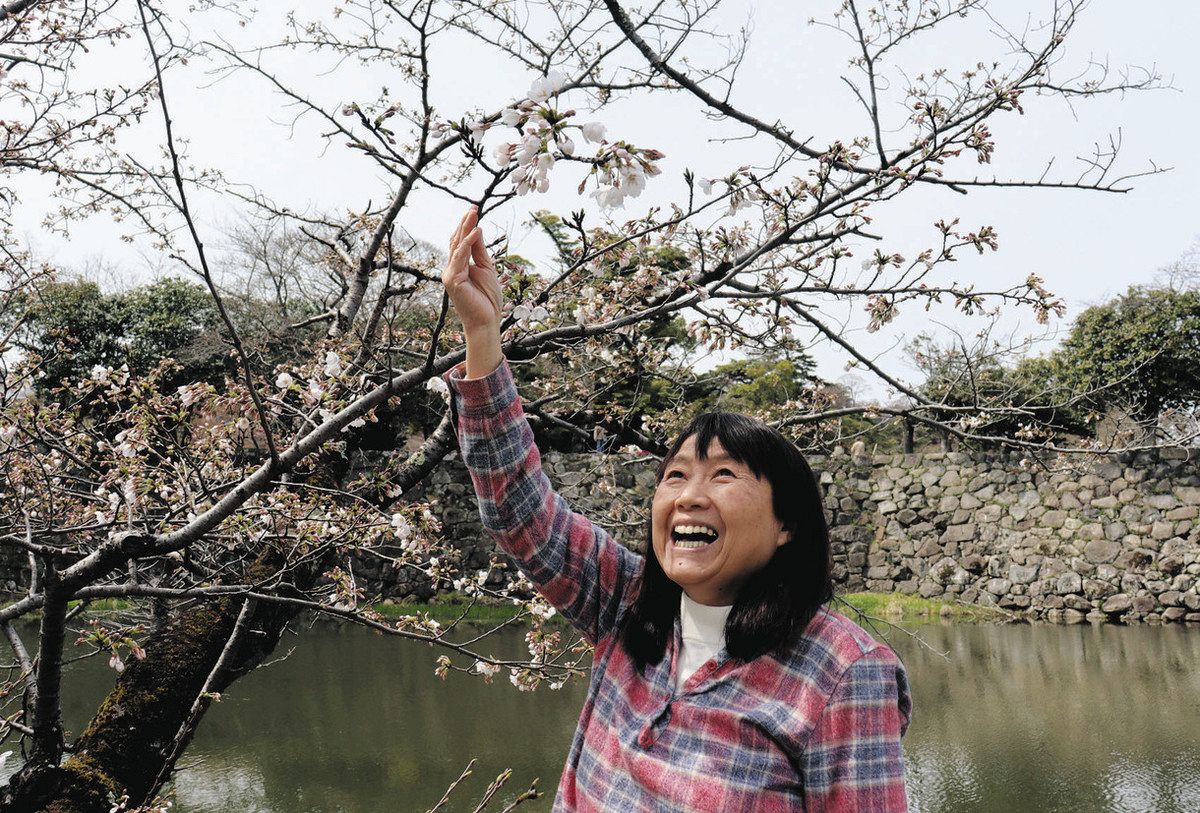 祖父の夢が国宝の城彩る 1000本植樹「桜の彦根に」 ＜桜の木の下で 私の思い出＞（2）：中日新聞Web