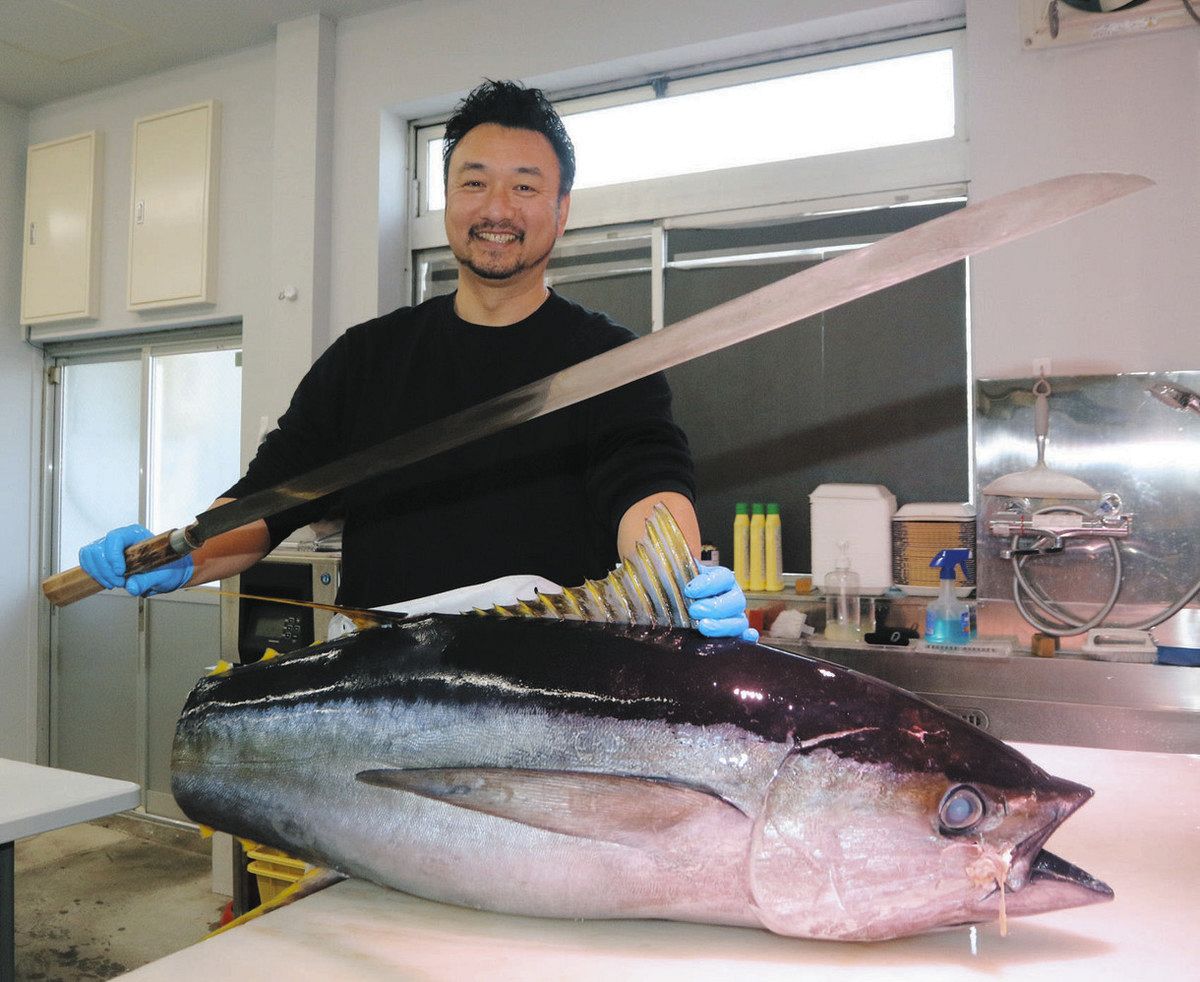 マグロ 津軽海峡産天然本マグロ1本の四割りブロック【冷凍】 - 上野屋