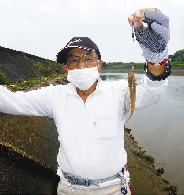 ハゼ 入れ食い 三重・中ノ川河口：中日スポーツ・東京中日スポーツ