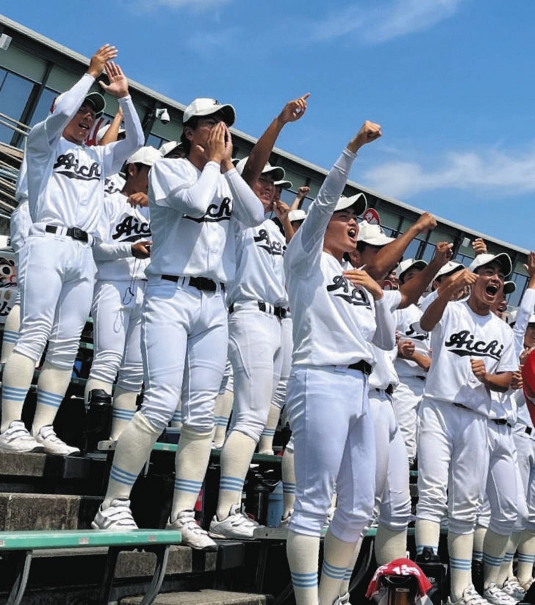 愛知 高校 野球