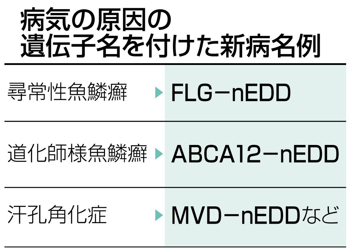 皮膚病への偏見、なくすには名前から 医療現場で進む改名、患者に不