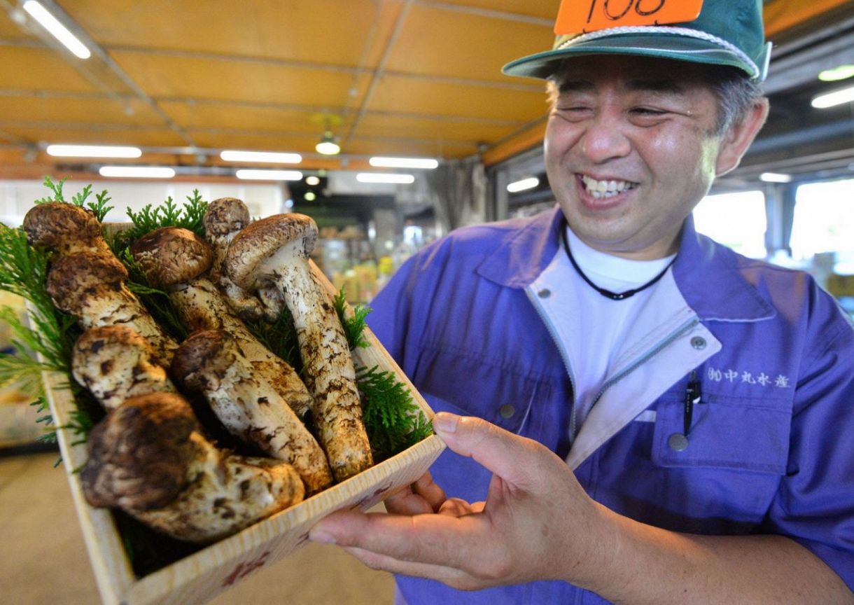 Nine matsutake mushrooms sold for 50,000 yen：中日新聞