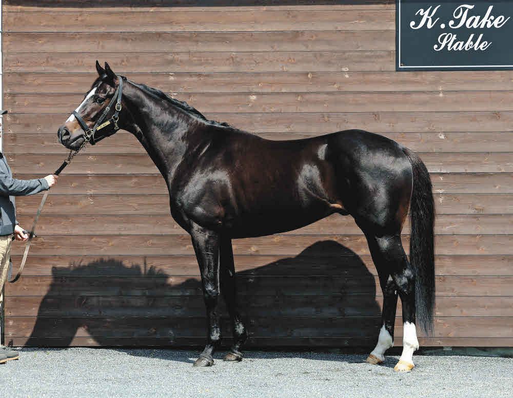 日本ダービー馬体診断】1枠1番リラエンブレム、1枠2番ショウヘイ 獣