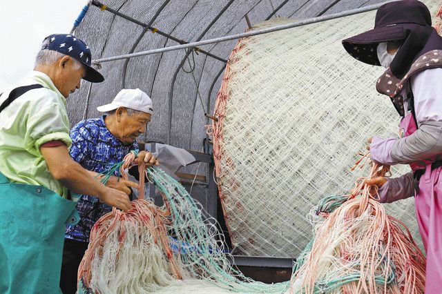 保管のためノリの胞子を付けた養殖網を取り外す漁師ら＝常滑市の鬼崎漁港で 