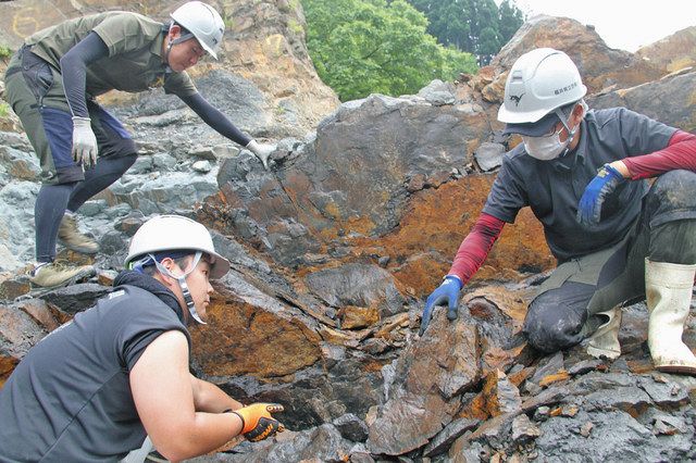 ヨロイ竜化石発掘目標 恐竜博物館 本年度第４次調査開始 日刊県民福井web