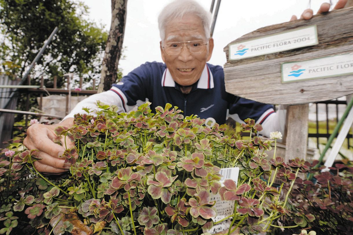 浜名湖花博2024＞ フラワーパーク会場で七つ葉クローバー展示：中