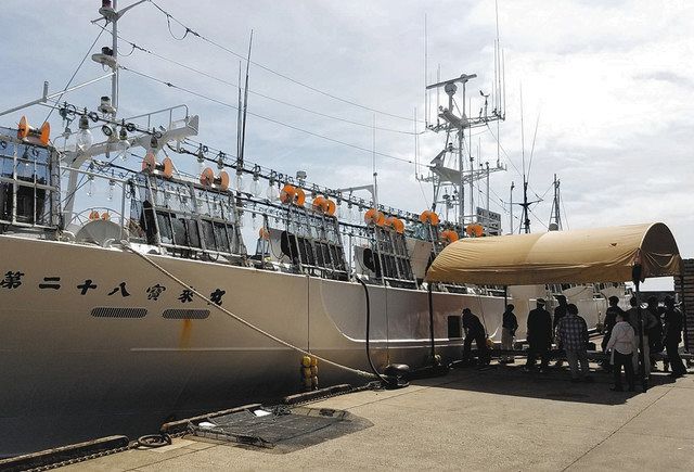 スルメイカ漁獲倍増 昨年比 小木漁船 ２カ月１隻平均 北陸中日新聞web