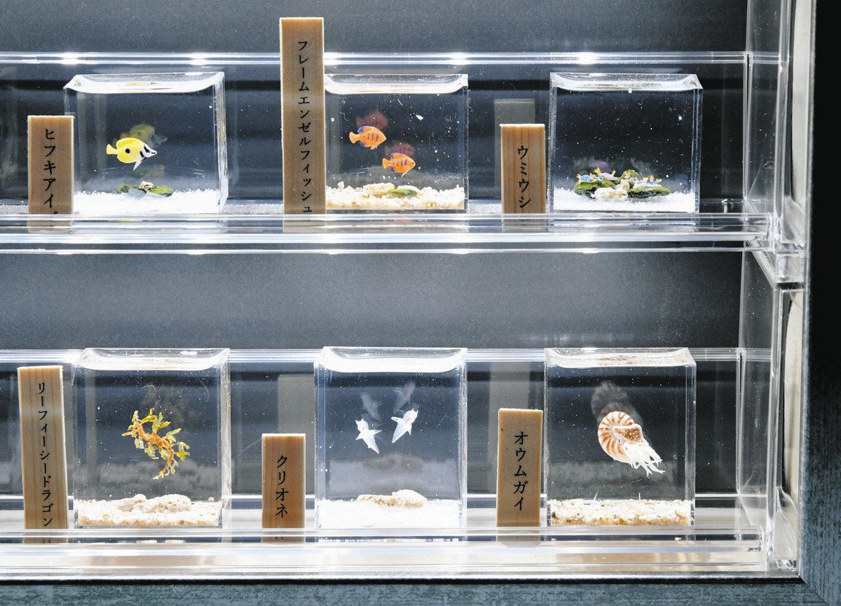 ミニチュアドールハウスの世界展】極小の水槽 命の躍動感（2）海水魚