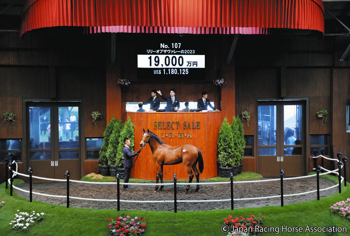 競馬 ベスト ロードカナロア 関係者限定品 競馬 ベスト ロードカナロア 関係者限定品 競馬 ベスト ロード