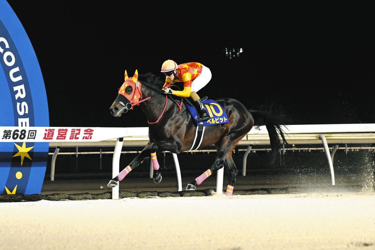 門別・道営記念】ベルピットが道営新記録の重賞15勝目を挙げ断然人気に