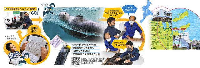 旅いくガイド＞ 鳥羽水族館（三重県鳥羽市） 高速スピンのラッコに迫る