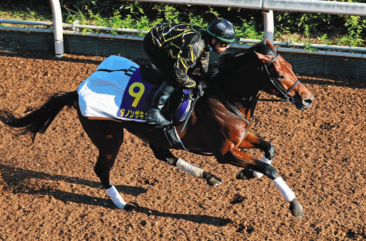 マイルcs ダノンザキッドとダノンスコーピオンで制覇狙う 安田隆行調教師 両馬ともいい雰囲気 中日スポーツ 東京中日スポーツ