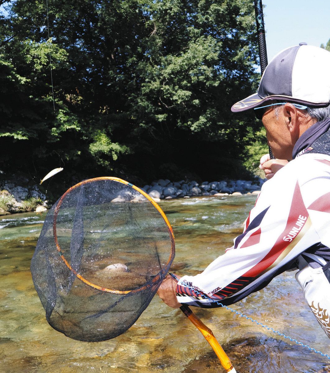 東北鮎人 奥飛騨の宴最高潮 日本一の美味 アユ乱舞72匹 岐阜県高山市上宝町の