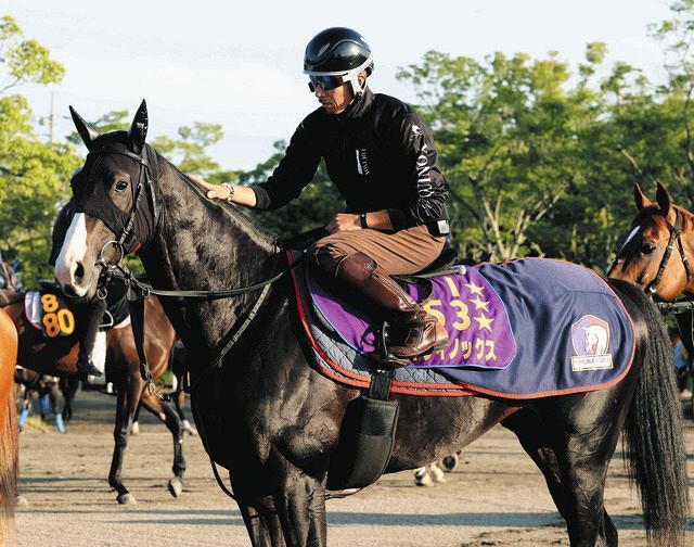 ドゥラメンテ 新馬戦から宝塚記念国内全８戦現地単勝馬券セット 2025年最新】Yahoo!オークション - 終了したレースの馬券(競馬