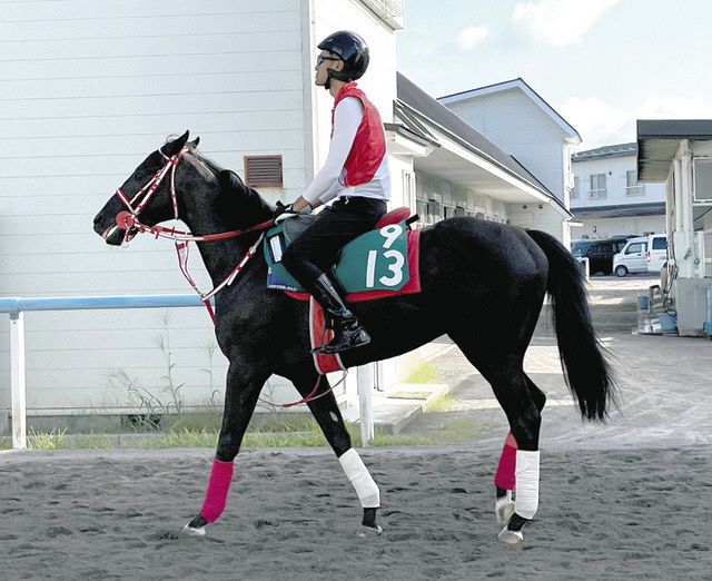 矢作厩舎とシュウジデイファームの”黄金ライン”が送り出す注目馬