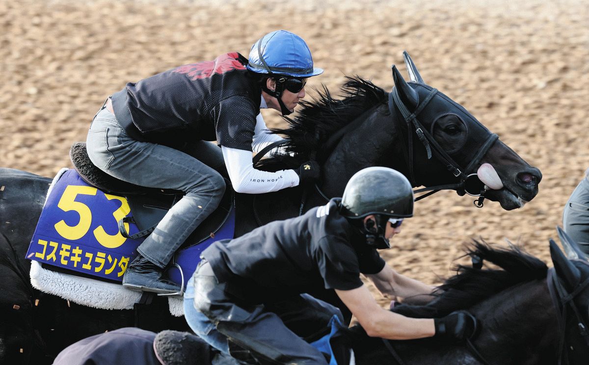 丹内騎手を背にウッドチップコースで追われるコスモキュランダ