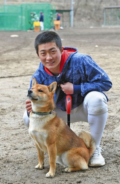 選手の活躍支える犬と猫 敦賀気比高に心強い味方 中日新聞web