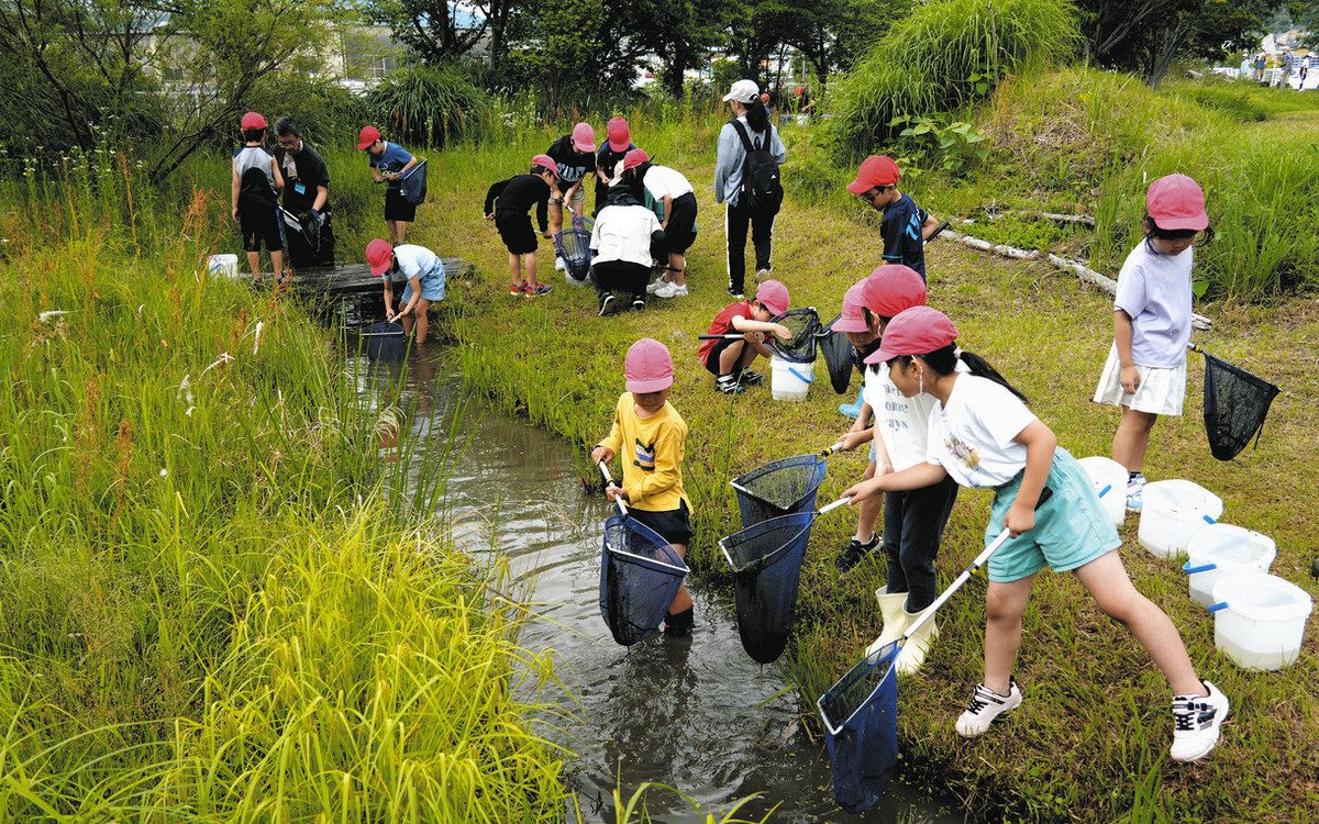 Paloma fiuza desnuda xxx