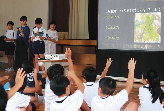 クイズを交えて栽培の工程を紹介する児童たち＝岡崎市恵田町の恵田小で