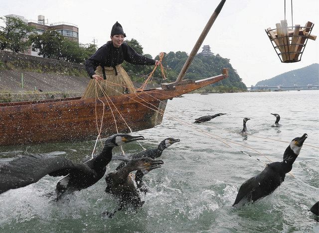 木曽川鵜飼始まる 愛知 犬山 寂しい乗船予約 中日新聞web