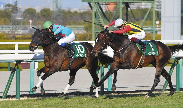 希少】 競馬 フィギュア ソフビ人形 21頭