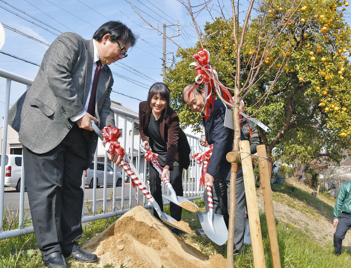 黒川沿いの桜を守り続ける 名古屋・北区の有志ら苗木寄贈、植樹：中日