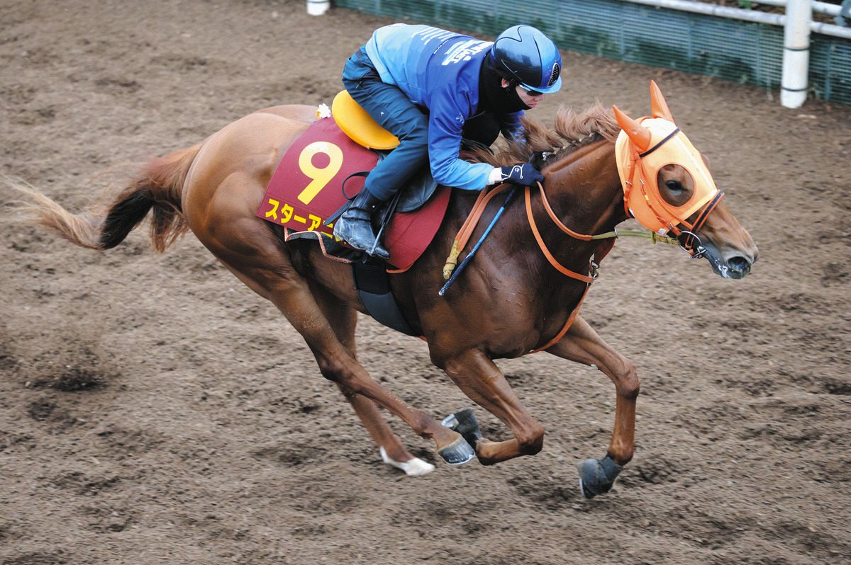 桜花賞展望】有力馬ひしめき混戦ムードもG1馬スターアニスが桜の女王
