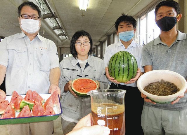 鰤醤搾りかす 肥料に 片口屋 来春販売へ研究 北陸中日新聞web