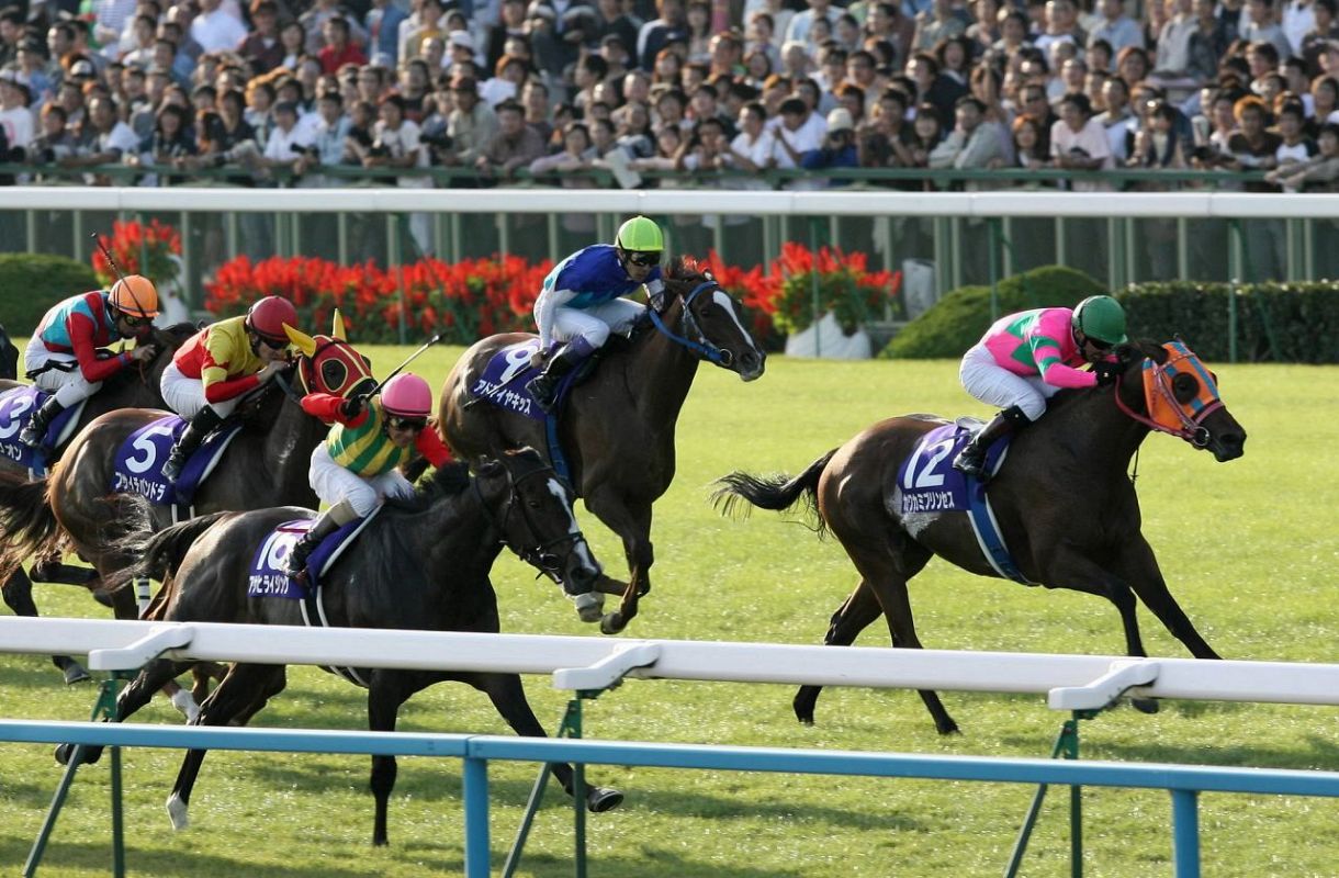 優先配送 2006年牝馬2冠達成のカワカミプリンセスが20歳で死亡「最後まで その他