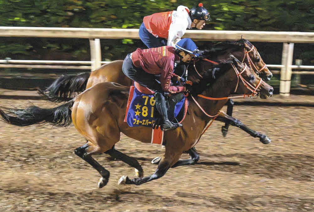 昨年、中央競馬未出走でも年度代表馬に選出されたフォーエバーヤング