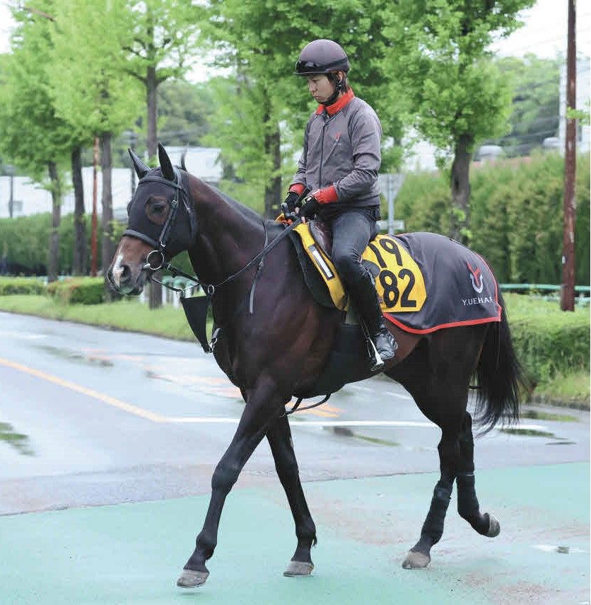 リュミエールノワル