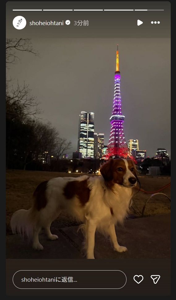 ◇大谷翔平投稿の愛犬デコピンと東京タワーライトアップのコラボ