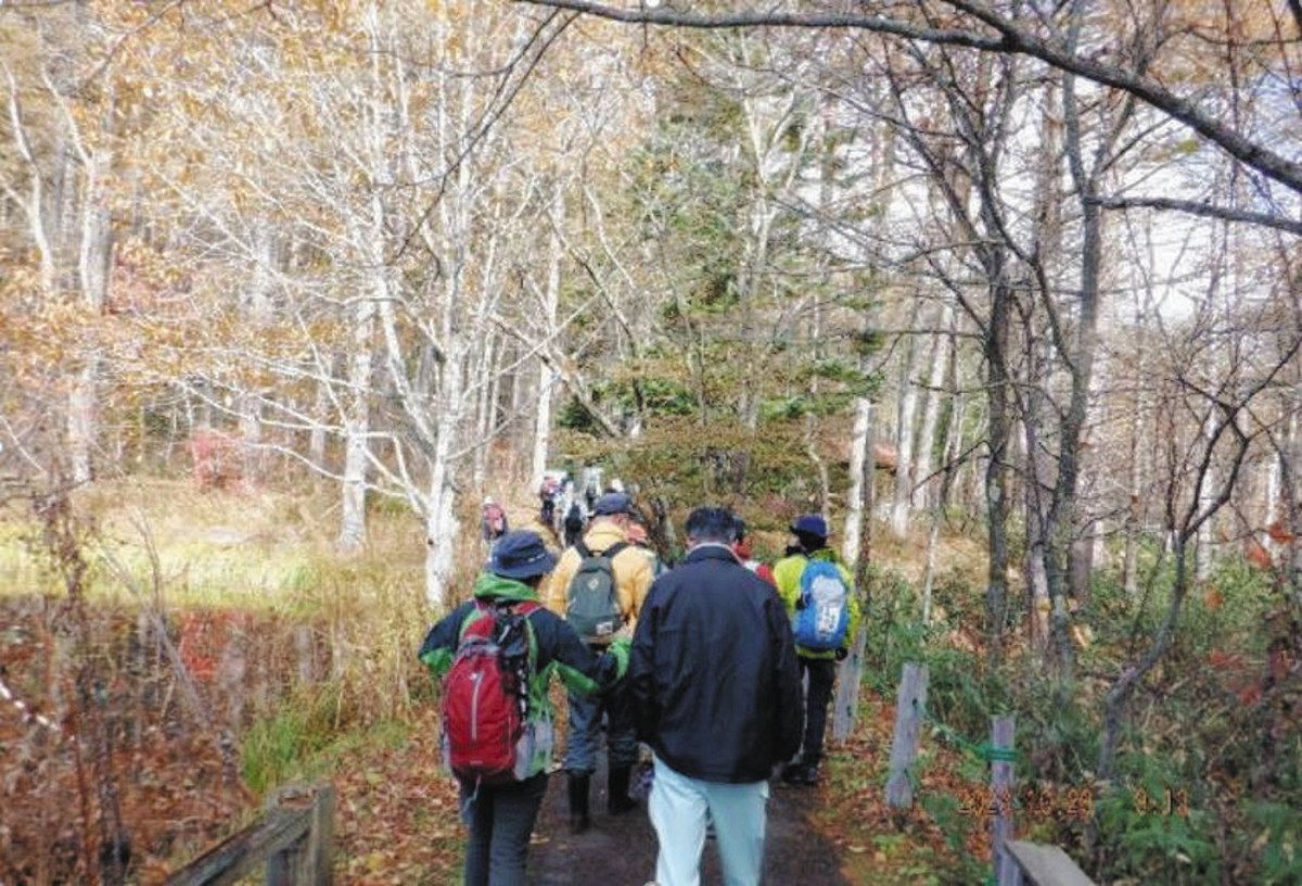 合同でパトロールを行う「レンジャー」＝昨年10月、長野市の戸隠森林植物園で（長野地域振興局　環境・廃棄物対策課提供） 