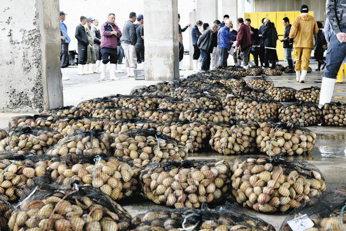 貝桁網漁が鈴鹿市沖で解禁、落札価格は… アサリ漁解禁は大型連休明けに