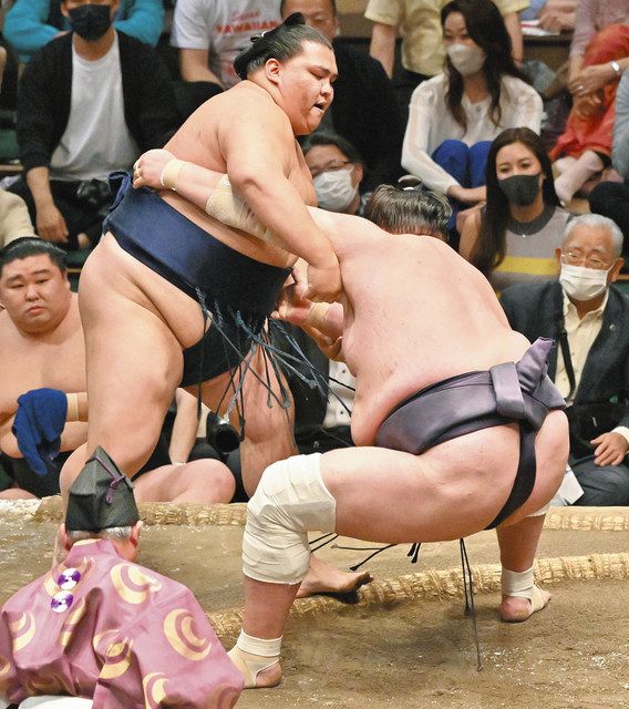 大相撲 ボールペン 御嶽海 稀勢の里 高安 勢 照ノ富士 宇良 白鵬 遠藤-