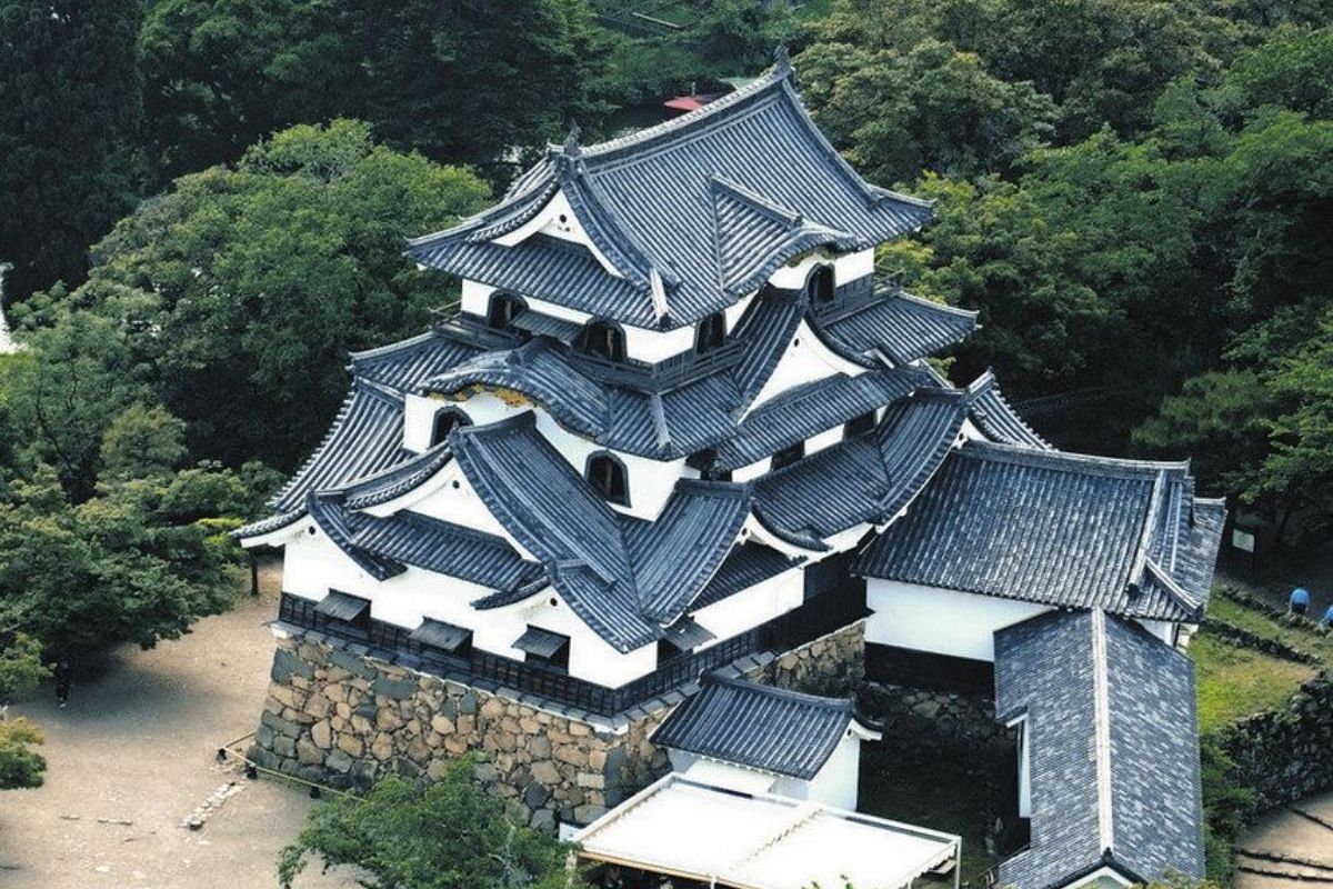 彦根城の世界遺産登録、5度目の挑戦