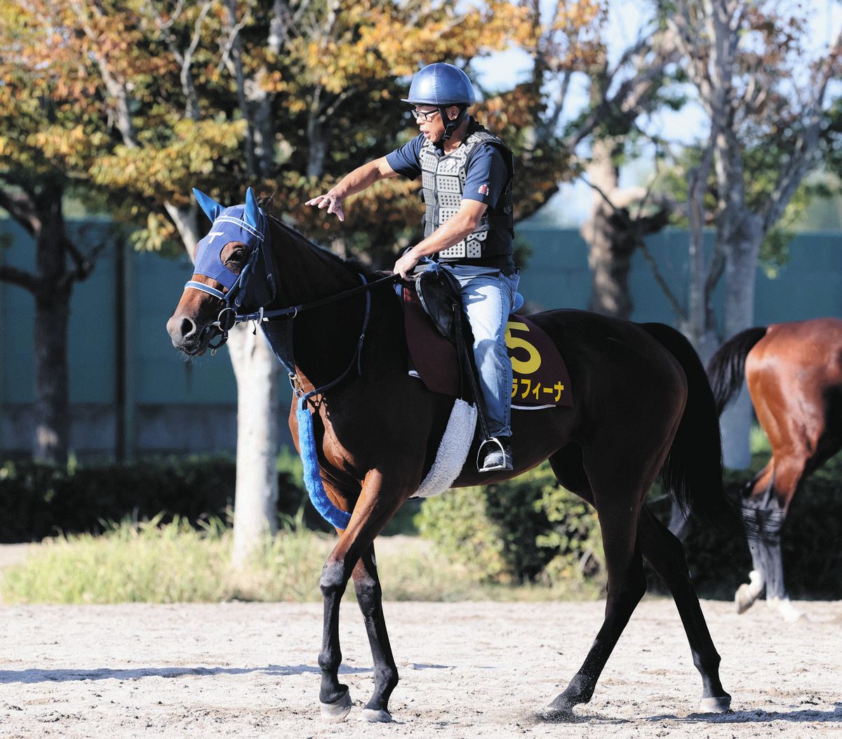 秋華賞】抽選待ちのカネラフィーナ 「京都の2000メートルは合いそう