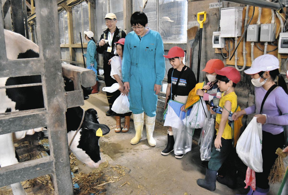 ホリ牧場で堀牧人さん（中央）の案内で牛舎を見学する西荒屋小の子どもたち＝9月17日、石川県内灘町湖西で
