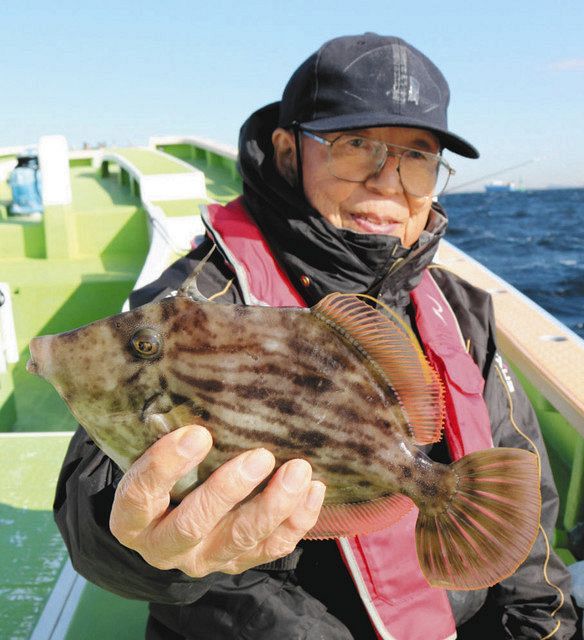 キモパンカワハギの季節到来 久比里 巳之助丸 から出船 中日スポーツ 東京中日スポーツ