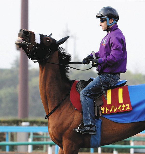 競馬】2021年桜花賞2着､牝馬・サトノレイナスが競走馬登録を抹消 国枝師「復帰がかなわなかったのは残念」：中日スポーツ・東京中日スポーツ