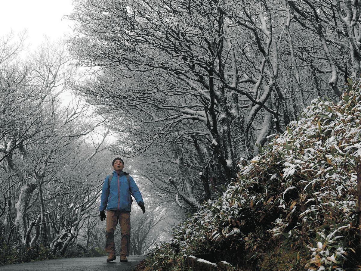 初雪 御在所岳の山頂で初雪、昨年より18日早く 中腹から麓は紅葉：中日新聞Web
