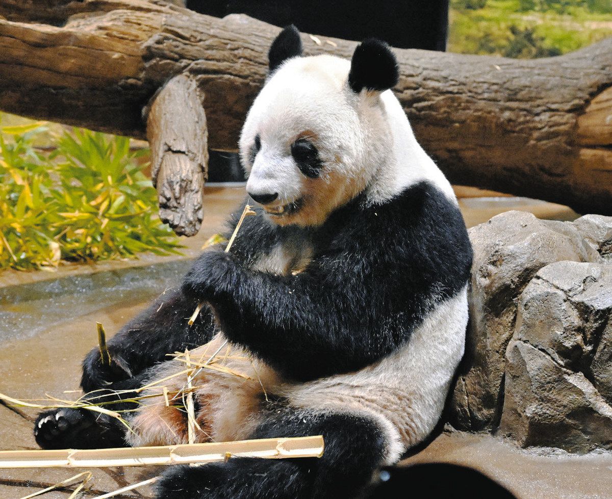 チューブエイト アダルト まだほかにもいい娘いますが、小出しにします(笑)